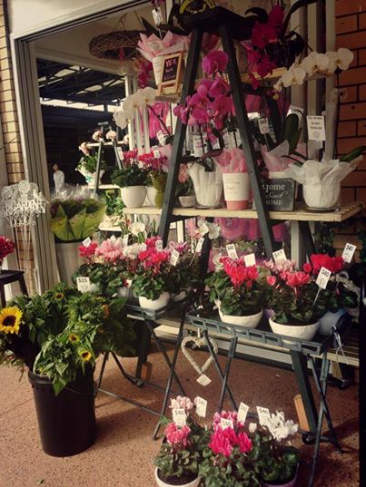 GORGEOUS SHOP IN PARADISE POINT
